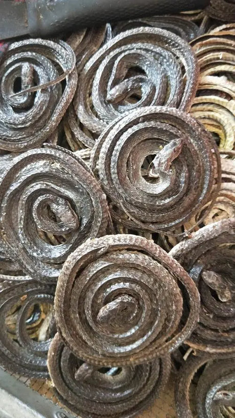 Rheumatism-dispelling medicine · Wushao snake
