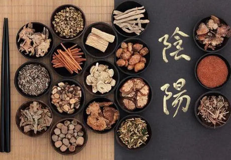 [Chinese Medicine] learning experience (67) Qingshu Yiqi Decoction