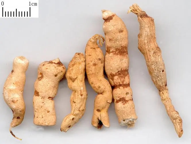 Laxative Medicine - Junxia Zhushui Medicine - Kansui